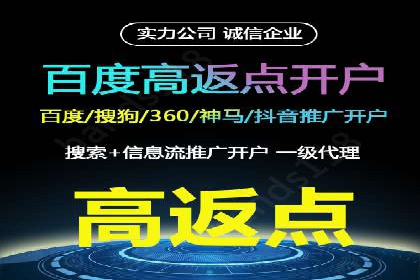 百度竞价赚钱的五大策略及成功案例解读